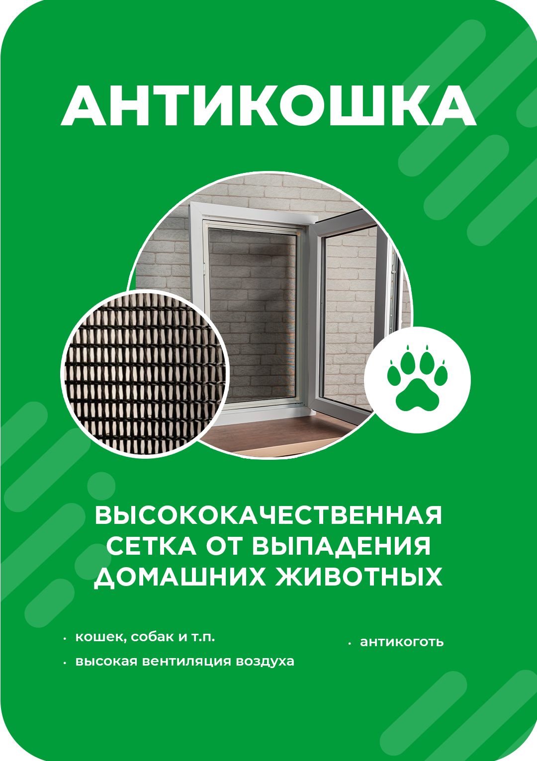 Антикошка